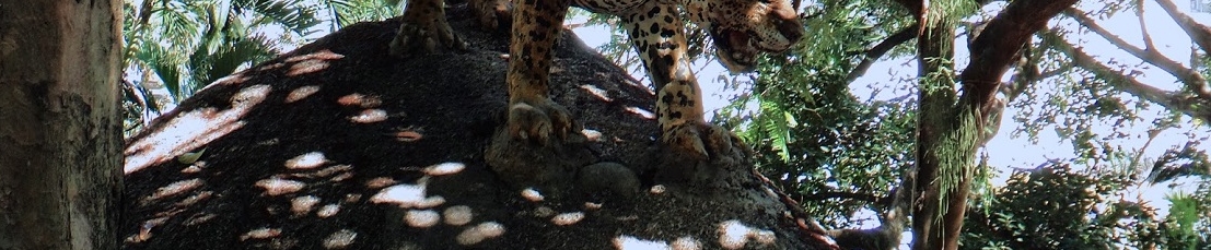 Gruta da Onça